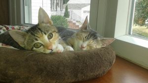 Audrey And Edna