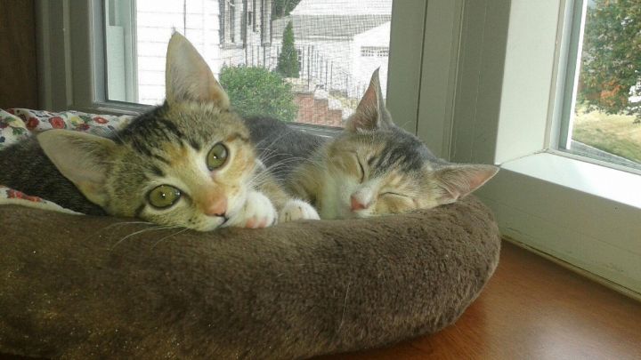Audrey And Edna 1