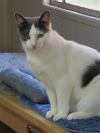 Dusty photo 1