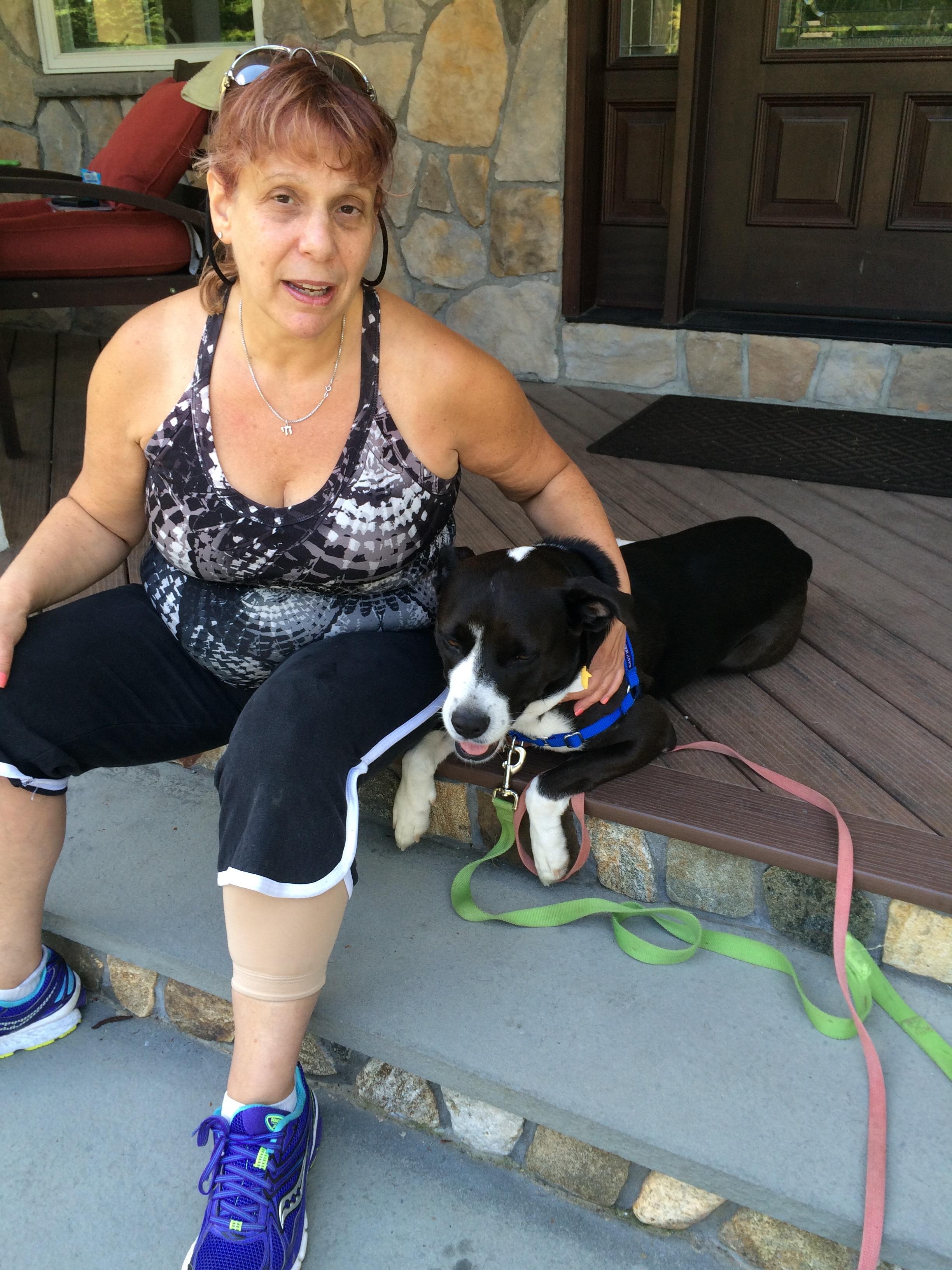 Baxter, an adoptable Boxer, Labrador Retriever in Cortlandt Manor, NY, 10567 | Photo Image 3