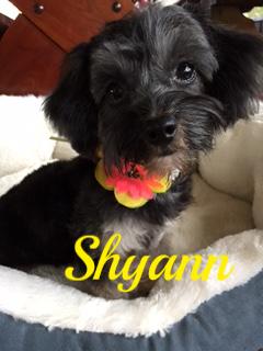Shyann detail page