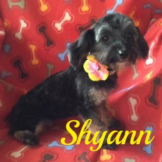 Shyann 2
