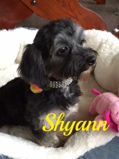 Shyann 3