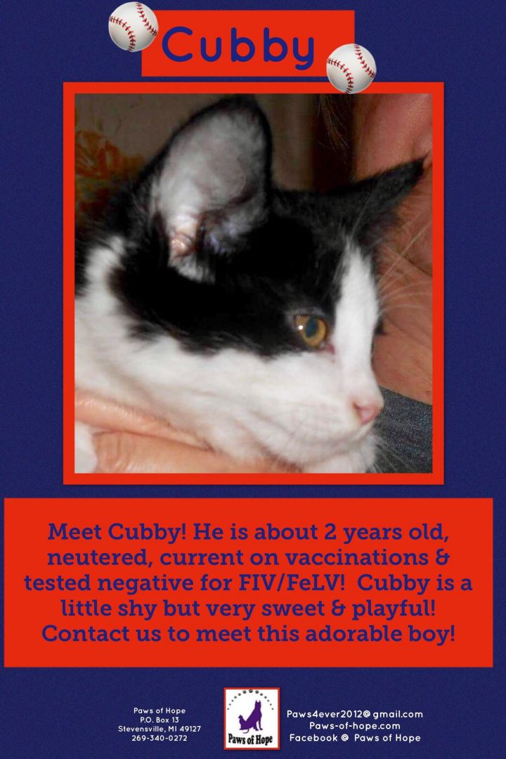 Cubby 2