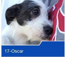 Oscar