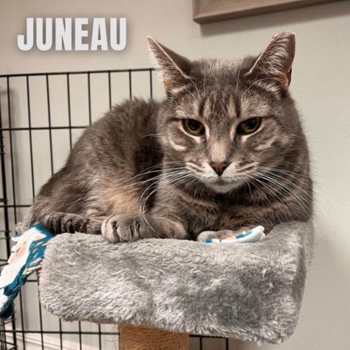 JUNEAU 2
