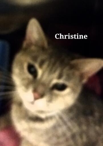 Christine 2