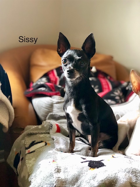 Sissy 2