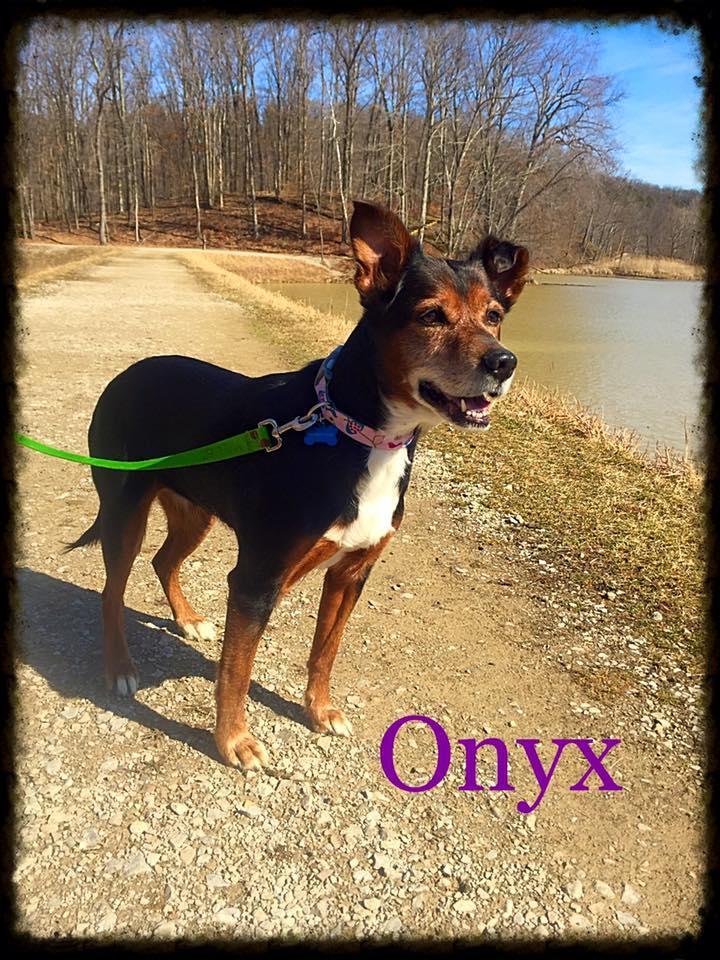 Onyx detail page