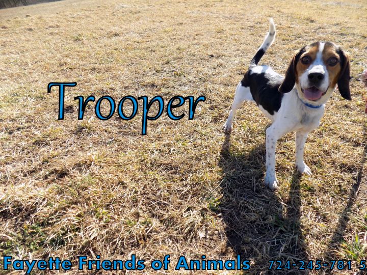 Trooper 1