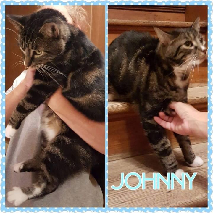 Johnny (Lynn's foster) 1