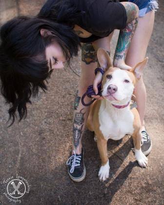 Chloe, an adoptable Pit Bull Terrier in Eugene, OR, 97405 | Photo Image 7
