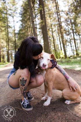 Chloe, an adoptable Pit Bull Terrier in Eugene, OR, 97405 | Photo Image 8
