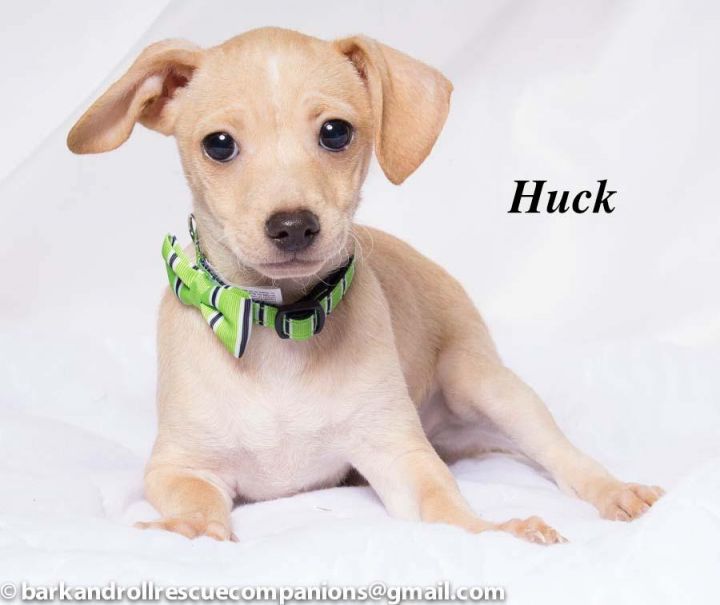 Huck 2