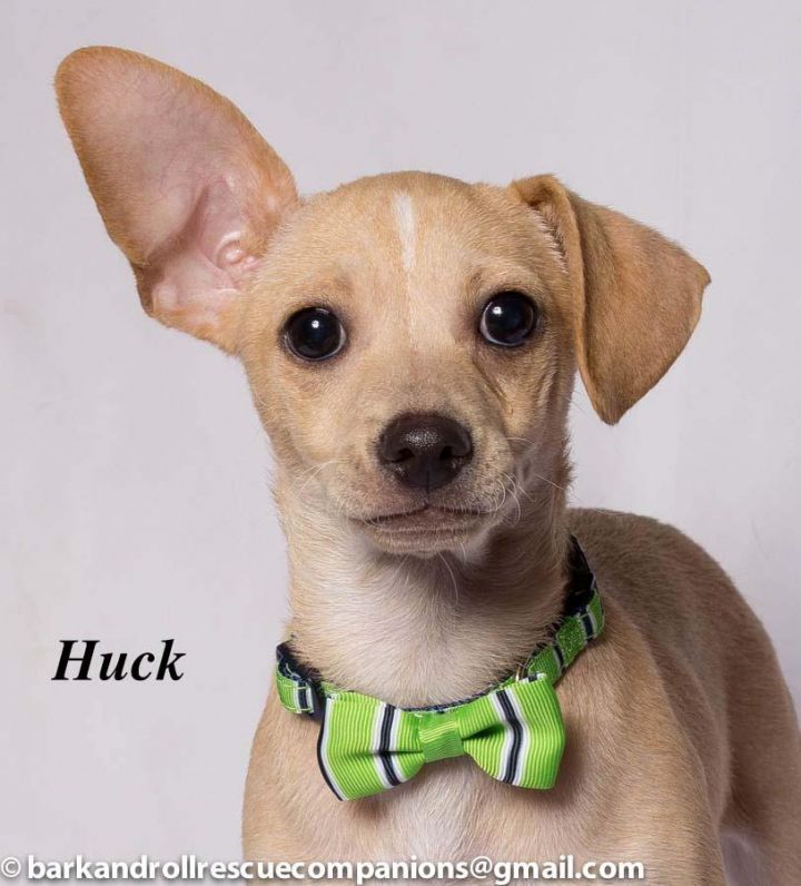 Huck 3