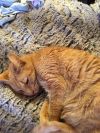 Grandma Wrinkles photo 2