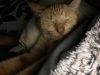 Grandma Wrinkles photo 3