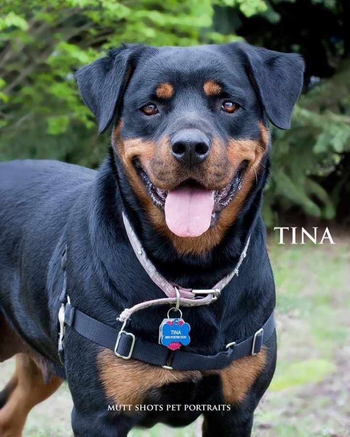 Tina 1