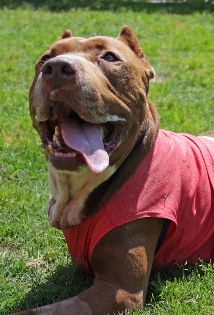 how to screen lock instagram