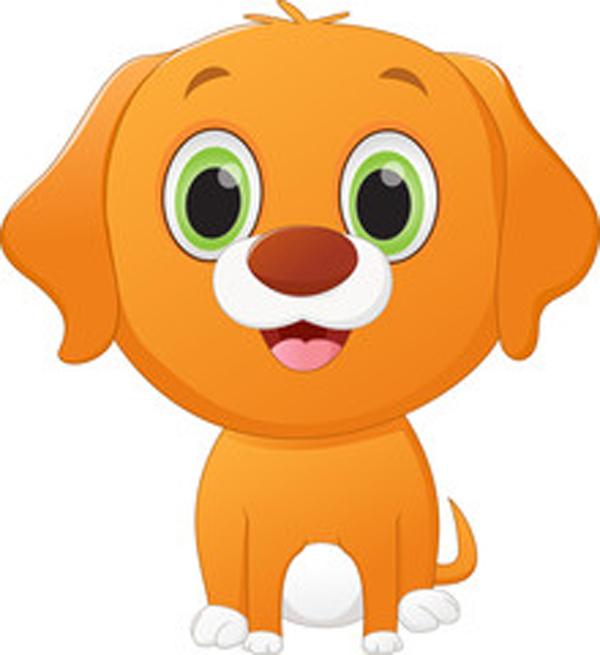 LITTLE DOG FOSTERS NEEDED 2