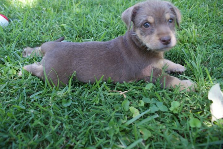 Cooper 2
