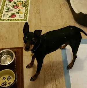 Lenny in Los Angeles area