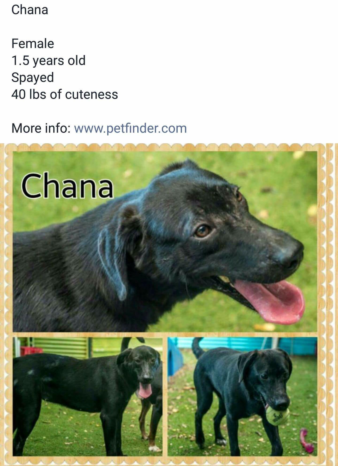 Chana detail page