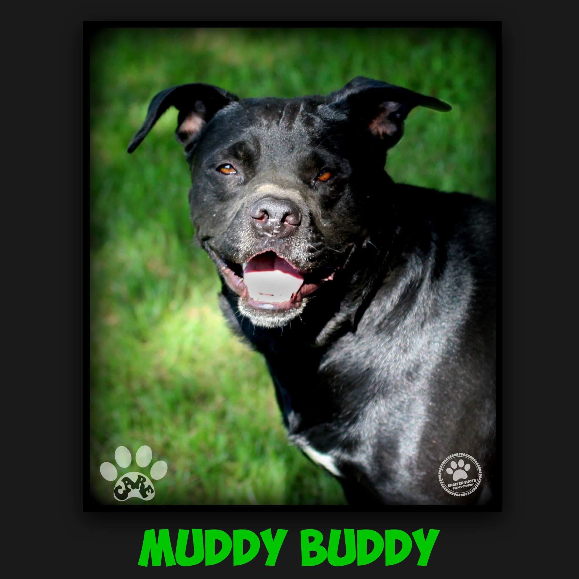 Muddy Buddy detail page