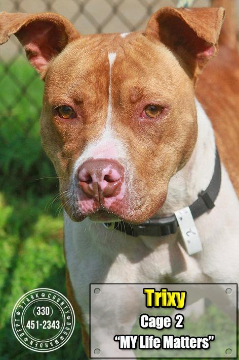 02 Trixy/Adopted