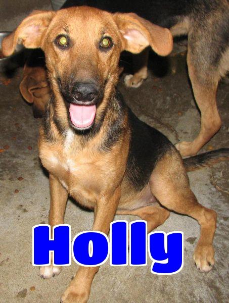 #158 Holly - sponsored 2