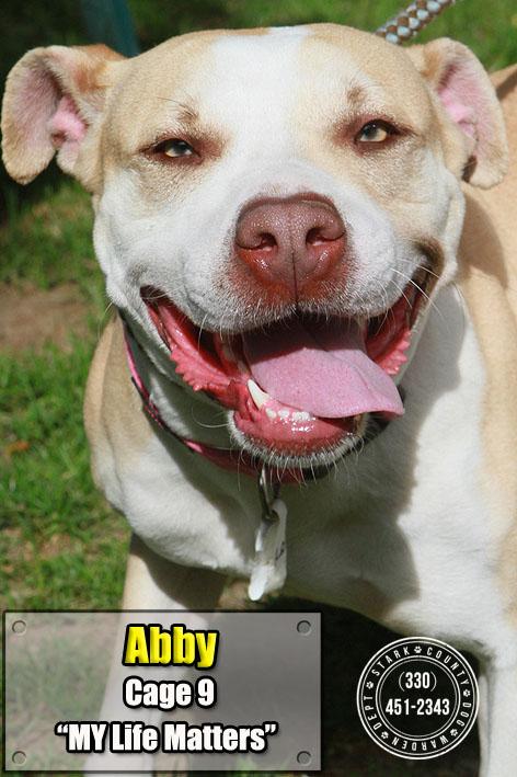09 Abby/ADOPTED