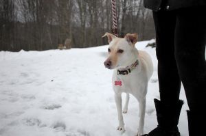 . Bella .