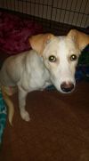 Selima photo 5