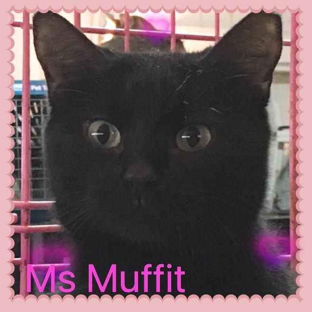Ms Muffit detail page