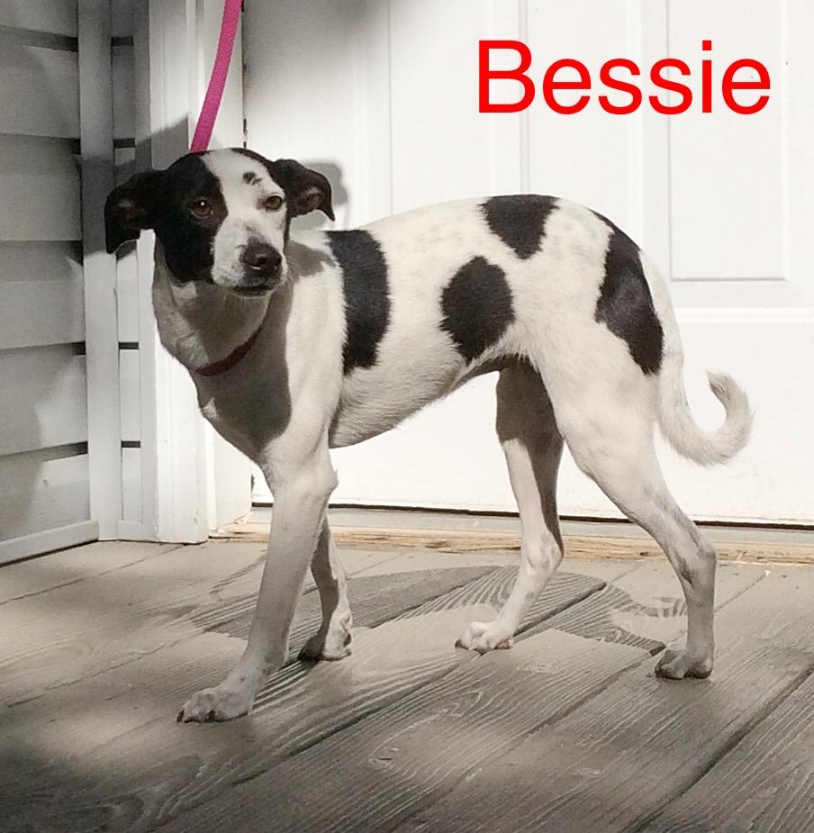 Bessie detail page