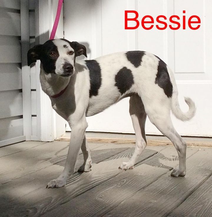 Bessie 1