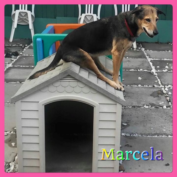 Marcela 3