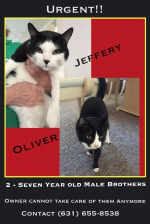 Jeffery and Oliver