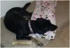 JASMINE 3 photo 3