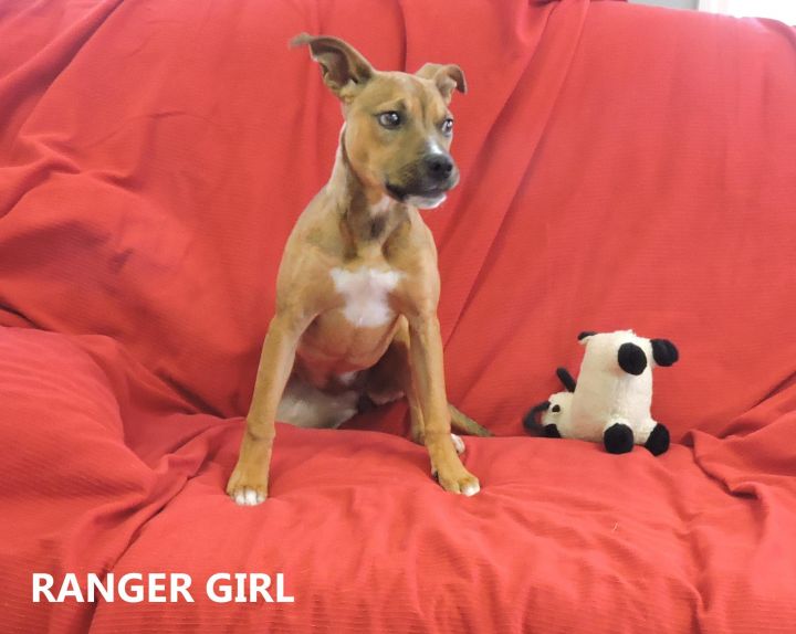 Ranger Girl 1