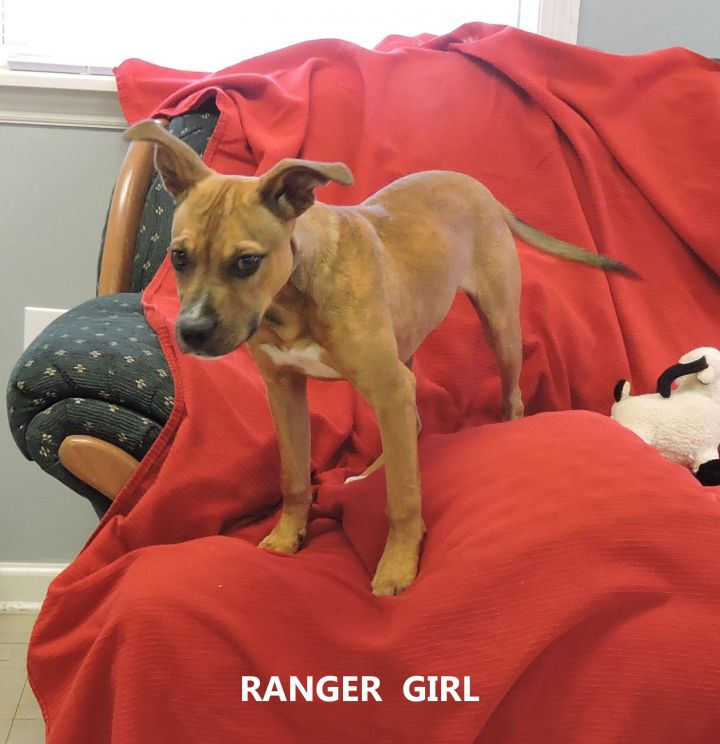 Ranger Girl 2