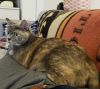 Sookie photo 3