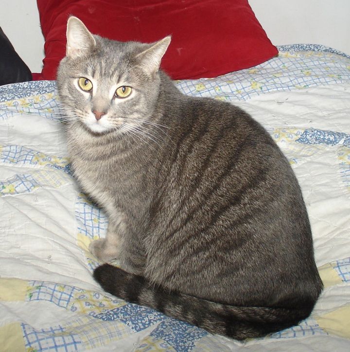 Victor 1