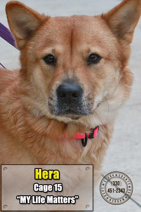 15 Hera Adopted detail page