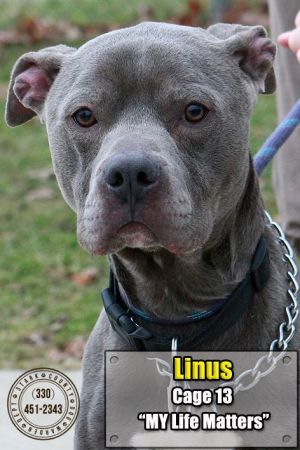 15 Linus/ADOPTED