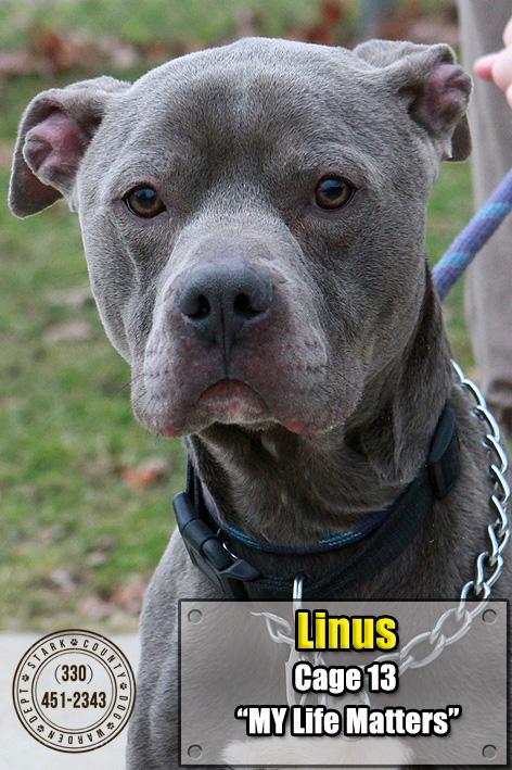15 Linus/ADOPTED 1