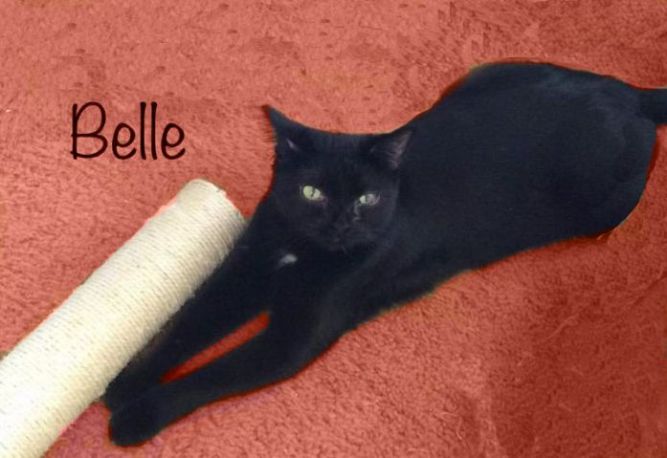 Belle K Foundinshed 0916