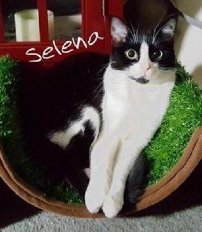 Selena 2