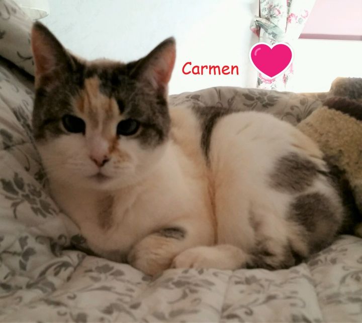 Carmen (Lori's foster) 5