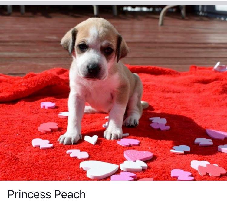 Princess Peach detail page
